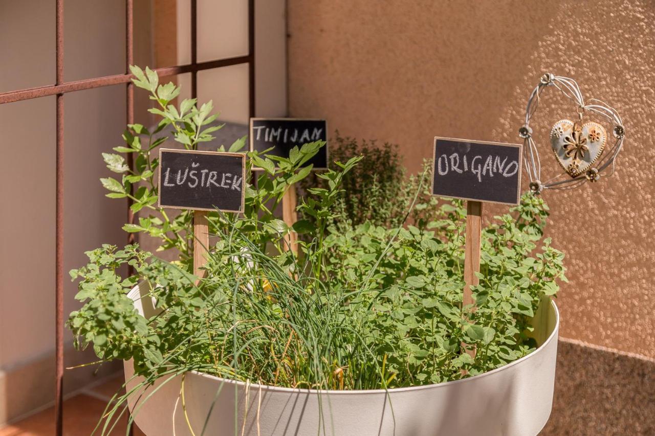 Apartma Summer Garden بليد المظهر الخارجي الصورة